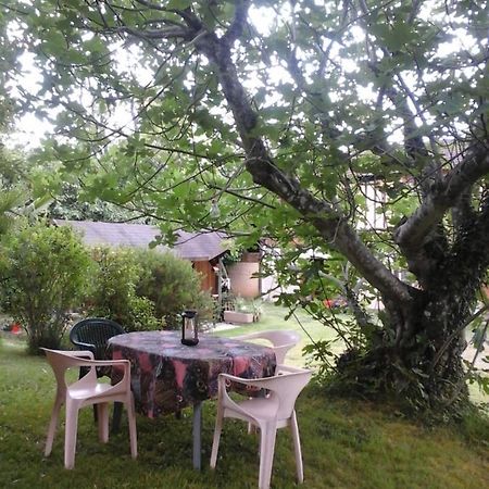 Betplan Gite L'Appel De La Foret מראה חיצוני תמונה