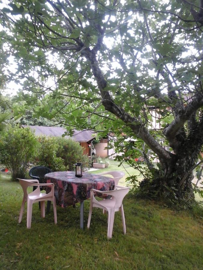 Betplan Gite L'Appel De La Foret מראה חיצוני תמונה